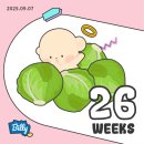 오렌지마트 하대점 | 26주-28주 일상 : 만삭촬영,임당검사,아기방 인테리어 Let&#39;s go💝