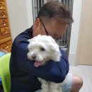 산본중앙동물병원 네이버블로그
