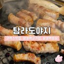 삼성2-104 | 삼성역고기집 | 탐라도야지 오겹살 된장찌개 맛집 솔직후기