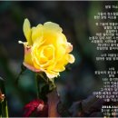 달빛미소 이미지