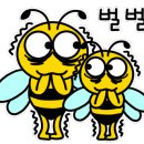 야옹아 부탁해 이미지