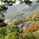 금국농장 이미지