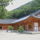 내일스테이 이미지