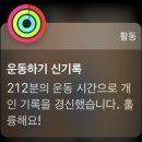 빛고을닭강정 - 서구 상무오월로19번길 4-1 | 빛고을닭강정