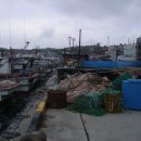 덕구온천콘도 이미지