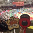 정관장홍삼안양 | KBL 프로농구 안양 정관장 레드부스터스 홈경기 직관 후기 (안양종합운동장 주차, 꿀팁, 레드부)