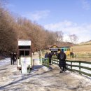 영동목장 이미지