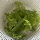 진상순농장 | 2025.10.10. 그간의 일상과 근황