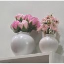 원스톱부동산공인중개사사무소 이미지