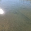 올레펜션 | 여수 키즈펜션 찾는다면 베베올레 키즈펜션 기린1호 후기