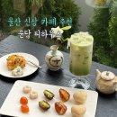 고산대추곶감농원 | 울산 신상 카페 추천 남구청 근처 티카페 윤담 티하우스