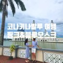 [코타키나발루 여행] 핑크 모스크 &amp; 블루 모스크 / 워터프론트 선셋바 (feat. 흐린날) / 1월 날씨