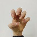손톱시장 이미지