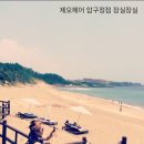 제오헤어 압구정 네이버블로그