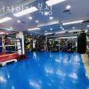 에너자이저 복싱 이미지