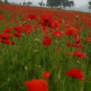 사평마을회관 이미지