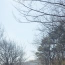 삼당지 티스토리