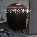나리미용실 | [안산 중앙동 미용실] 단발 태슬펌 잘하는 &#39;박승철헤어안산중앙점&#39; 나리 수석디자이너 후기