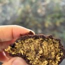 예스김밥카페 | 순천 금당카페 수제케이크맛집 두쫀쿠 후기 “비엔유”