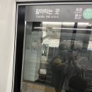 용문포차 이미지