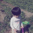 태균농장 이미지