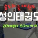 용인대 서연 태권도 이미지