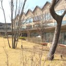 LF스퀘어광양닥스셔츠