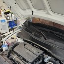 스팀코리아 이미지