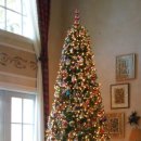 아모레플라워 이미지