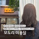[부천 미용실] 모도리 :: 부천 염색 잘하는 곳. 매트 브라운 염색 솔직후기.