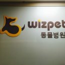 해밀동물병원 이미지