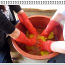 푸른솔 염색
