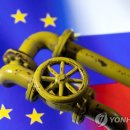 마켓인사이드 이미지