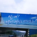 서프대디
