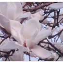 부천-중동-부천-0003 이미지