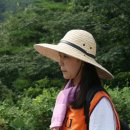 섬진강 한의원 이미지