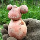 최강자농장 이미지