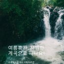 봉화부분정비 이미지