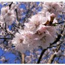 속동목장 이미지