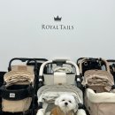 댕댕랜드 | 피카고 강아지 유모차 저렴하게 구매할 수 있는 곳 애견용품전문점ㅣ부천 펫랜드