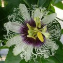 성창농장 이미지