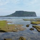 제주도 돌집 삼다헌 세화점 이미지