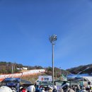 비발디파크 렌탈샵 아지트 리프트권 스키복 대여 세트 후기
