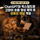 필드로 | AI숏폼제작 실전 후기! ChatGPT와 힉스필드로 고양이 숏폼 영상 제작 후 유튜브 채널 개설