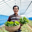 이종현농장 이미지