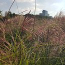 청룡마을3길 4 이미지