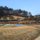 매일조경인력 이미지