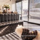 진석범동물병원 이미지