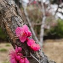 더 느리게 이미지