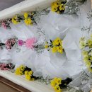 여수강남요양병원 네이버블로그